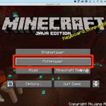 Multiplayer Options. webp 150x150 1